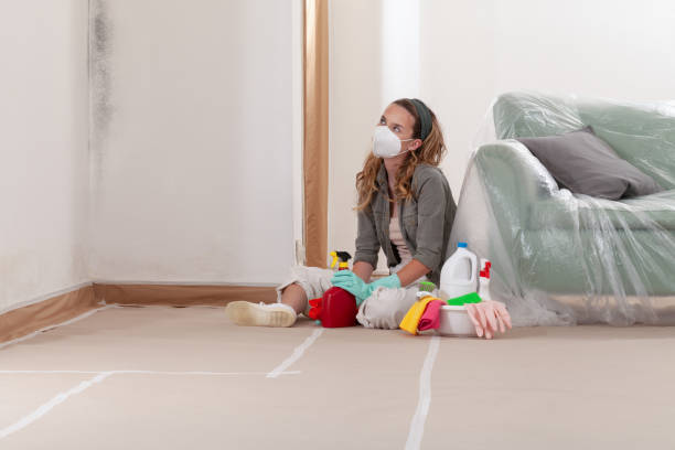 Reliable Mold Cleanup contractor in Conklin, MI by Cheap Mold Removal